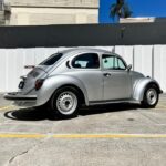 Fusca-96-ouro-2